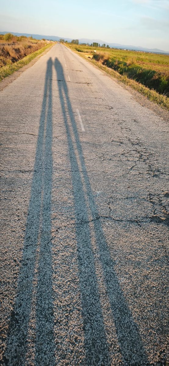Zwei lange Schatten auf dem Pilgerweg im Abendlicht